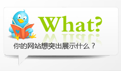 ľW(wng)վͻչʾʲô